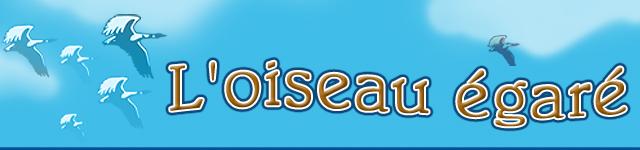 Titre - l'oiseau égare Titre - l'oiseau égare