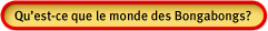 Qu'est-ce que le monde des Bongabongs ?